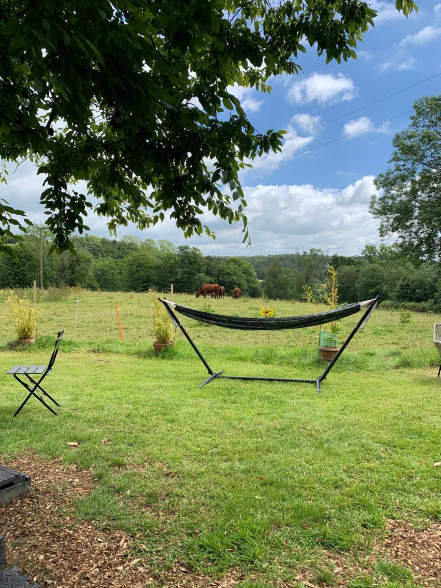 American School Bus Retreat With Hot Tub In Sussex Meadow Uckfield Εξωτερικό φωτογραφία
