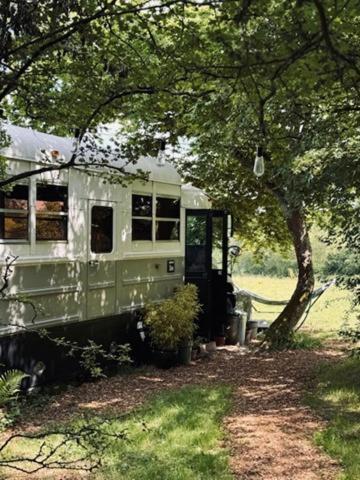 American School Bus Retreat With Hot Tub In Sussex Meadow Uckfield Εξωτερικό φωτογραφία